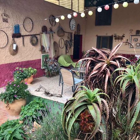 Bed and Breakfast Casa Fletch El Salado Екстер'єр фото
